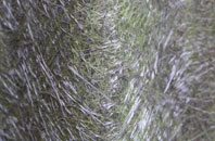 Pott Shrigley fibreglass roof work